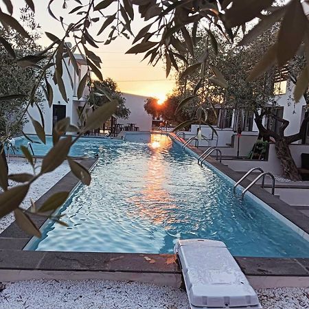 Hotel The Olive Hills à Skala Rachoni  Extérieur photo