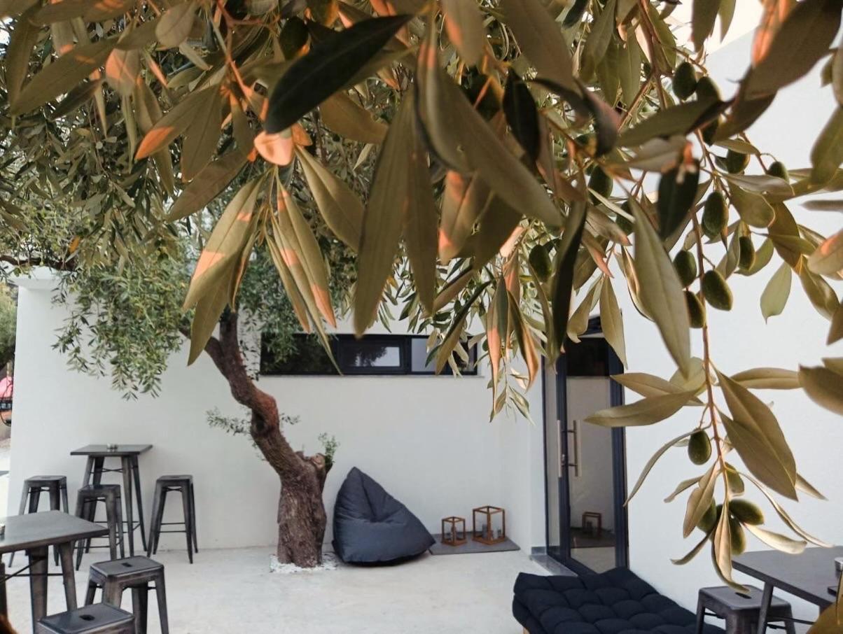 Hotel The Olive Hills à Skala Rachoni  Extérieur photo