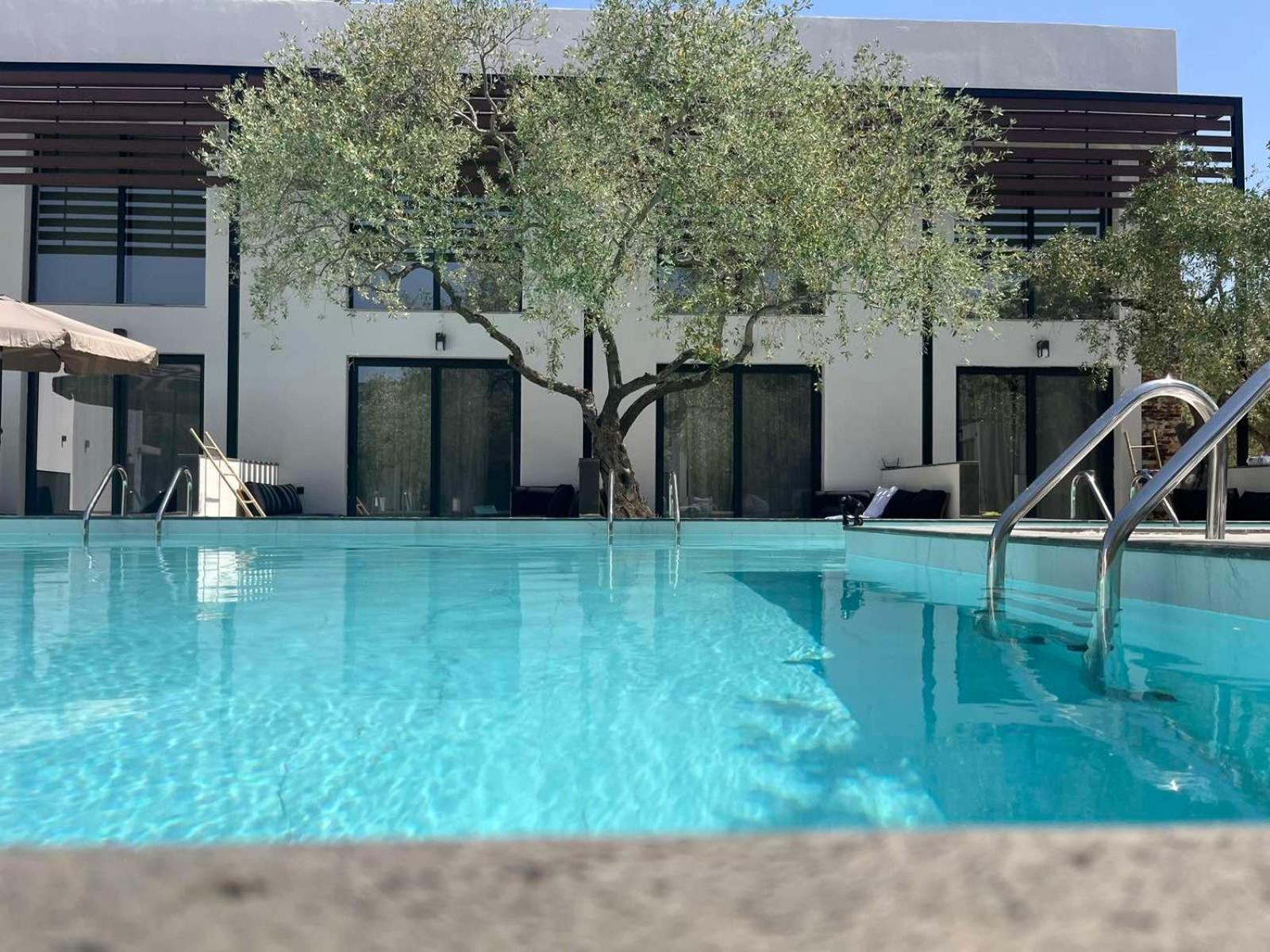 Hotel The Olive Hills à Skala Rachoni  Extérieur photo
