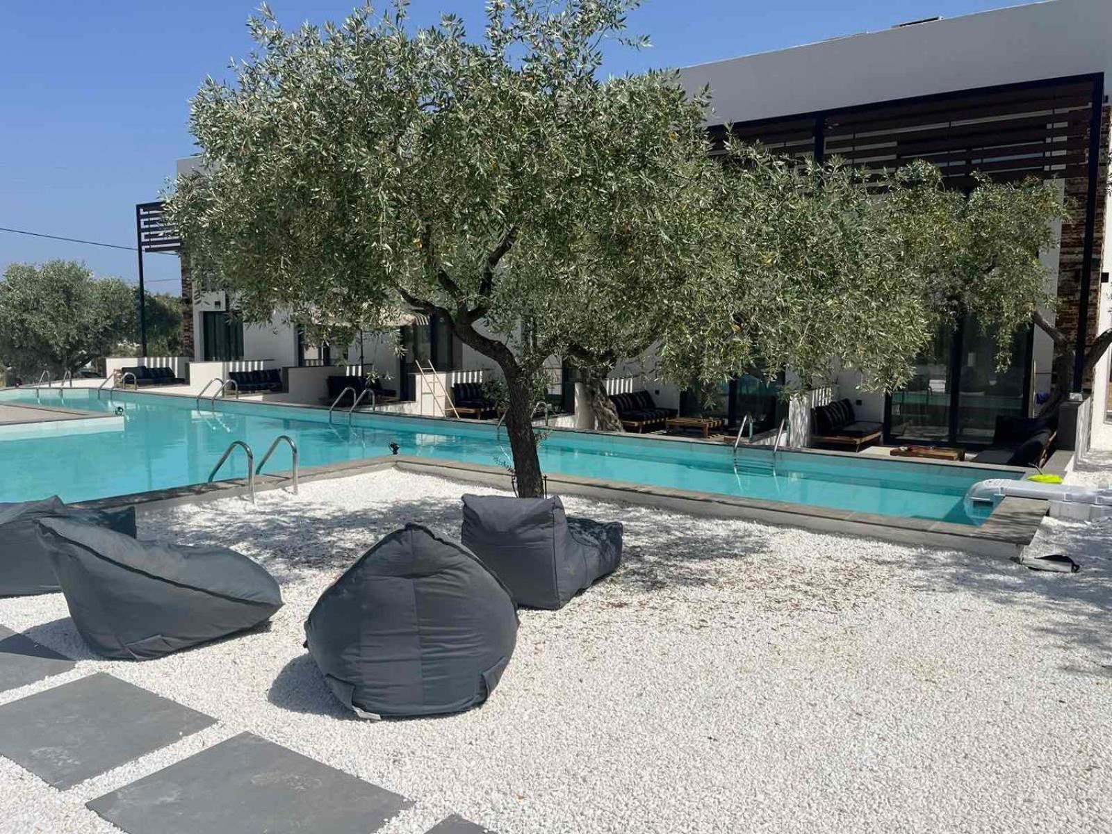 Hotel The Olive Hills à Skala Rachoni  Extérieur photo