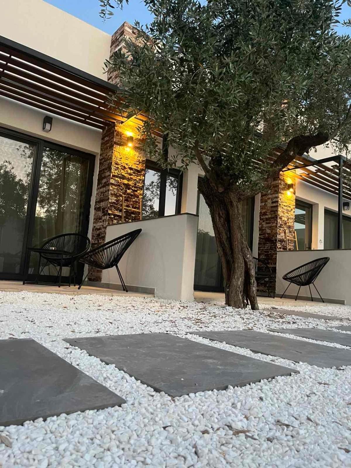 Hotel The Olive Hills à Skala Rachoni  Extérieur photo